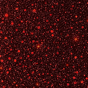 Red Mars